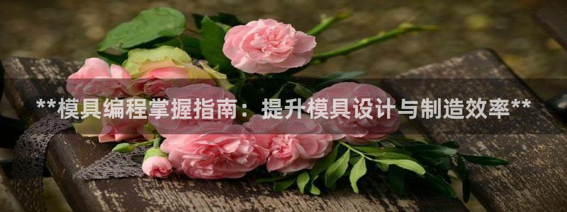 太阳gg官方网站：**模具编程掌握指南：提升模具设计与制造效率**