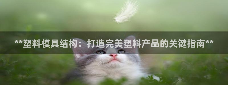 太阳集团城2017网站：**塑料模具结构：打造完美塑料产品的关键指南**
