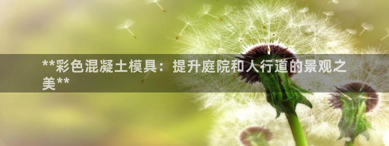 太阳集团高科技发展有限责任公司：**彩色混凝土模具：提升庭院和人行道的景观之
美**