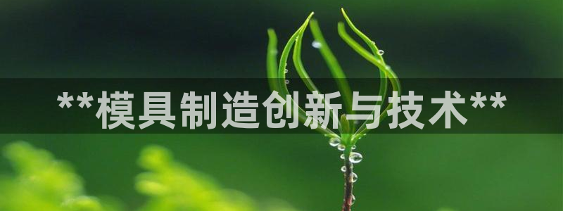 太阳集团备用网址：**模具制造创新与技术**