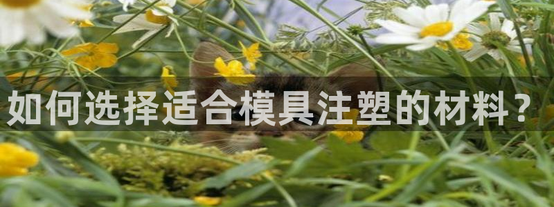 太阳科技集团：如何选择适合模具注塑的材料？
