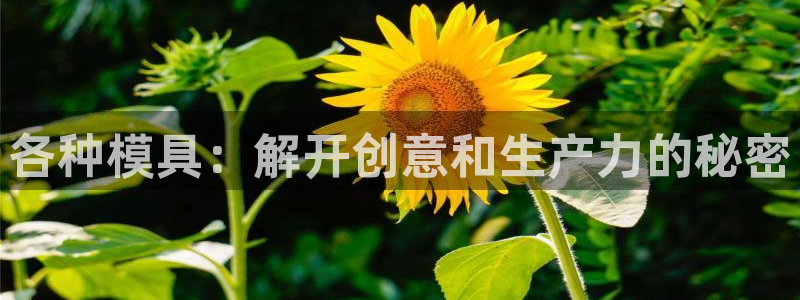 古天乐代言澳门太阳游戏网址：各种模具：解开创意和生产力的秘密