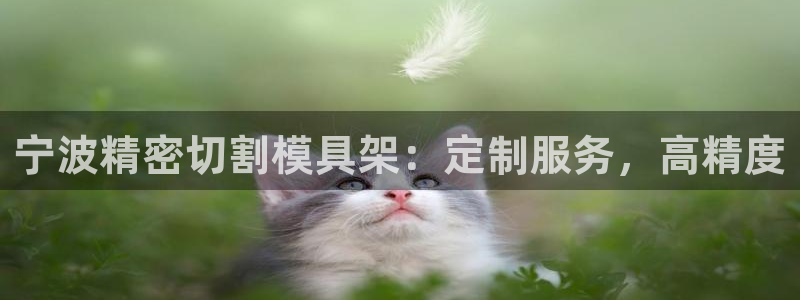 奥门太阳集团城：宁波精密切割模具架：定制服务，高精度