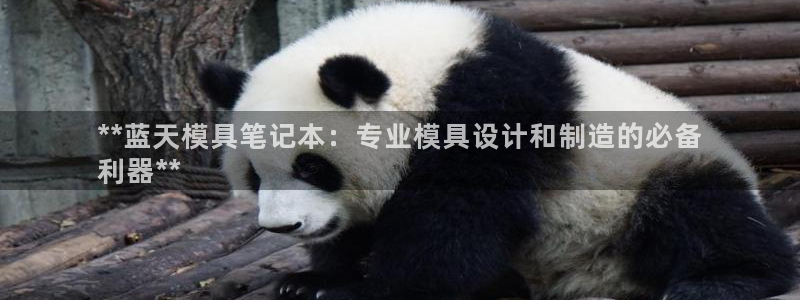 太阳集团游戏城新版138：**蓝天模具笔记本：专业模具设计和制造的必备
利器**