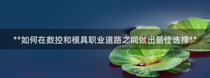 太阳集团城登录网址：**如何在数控和模具职业道路之间做出最佳选择**