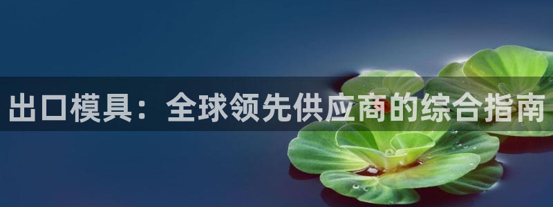 8827太阳集团：出口模具：全球领先供应商的综合指南