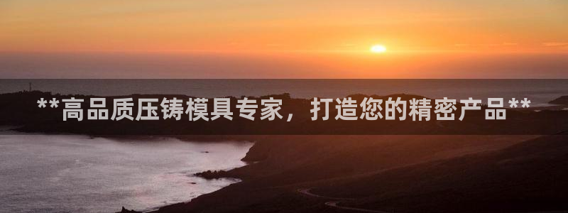 太阳集团市值：**高品质压铸模具专家，打造您的精密产品**