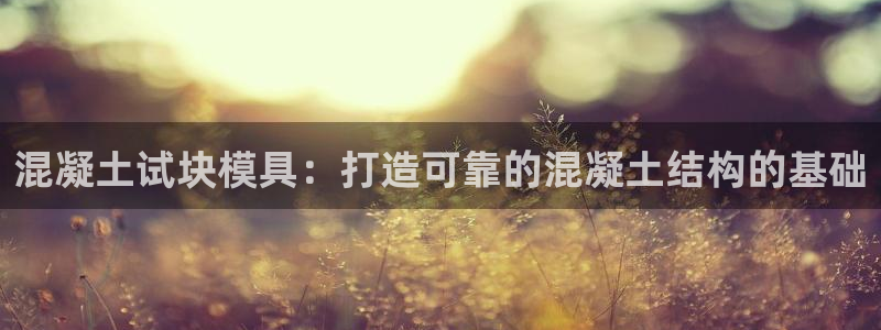太阳集团游戏城1382：混凝土试块模具：打造可靠的混凝土结构的基础