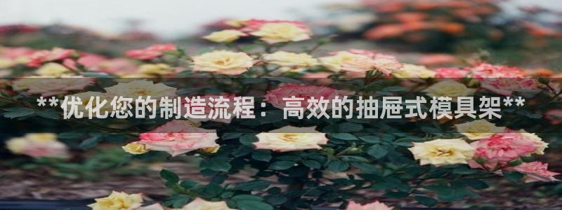 太阳成集团tyc234cc主页网址：**优化您的制造流程：高效的抽屉式模具架**
