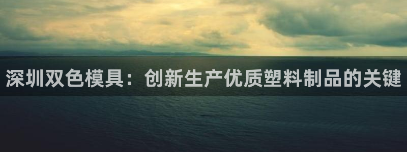 太阳成集团网址 app：深圳双色模具：创新生产优质塑料制品的关键