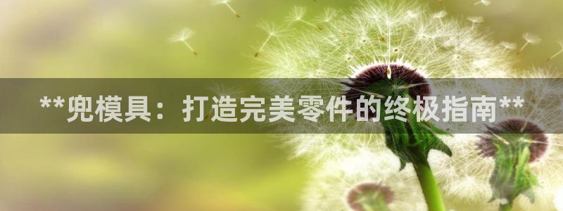 太阳集团tcy8722-主页|欢迎您：**兜模具：打造完美零件的终极指南**