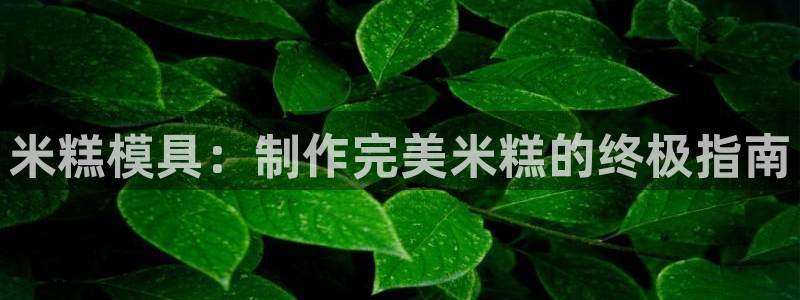 太阳集团控股有限公司官网香港：米糕模具：制作完美米糕的终极指南