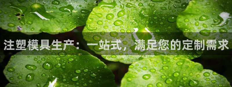 太阳诚集团网址