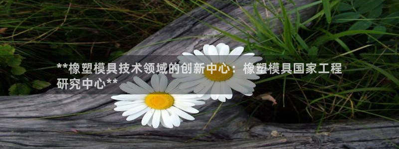太阳集团官网：**橡塑模具技术领域的创新中心：橡塑模具国家工程
研究中心**