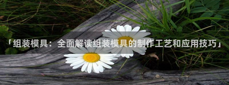 太阳成集团电影：「组装模具：全面解读组装模具的制作工艺和应用技巧」