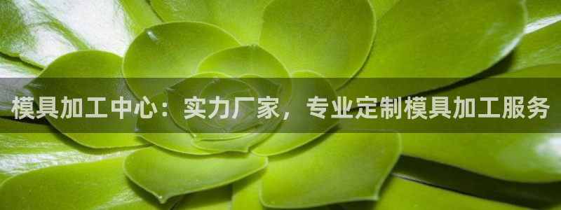 太阳国际游戏平台：模具加工中心：实力厂家，专业定制模具加工服务