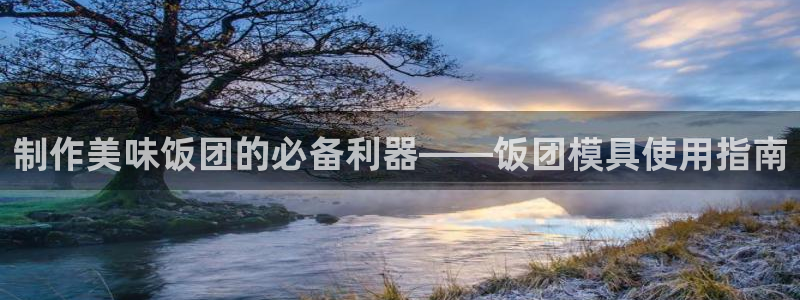 古天乐太阳集团网址：制作美味饭团的必备利器——饭团模具使用指南