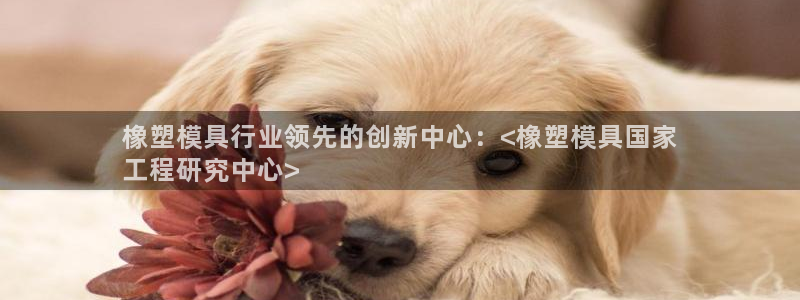 太阳集团入口官网网址：橡塑模具行业领先的创新中心：<橡塑模具国家
工程研究中心>