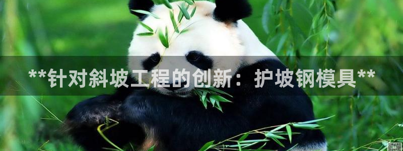 太阳集团网址8722：**针对斜坡工程的创新：护坡钢模具**