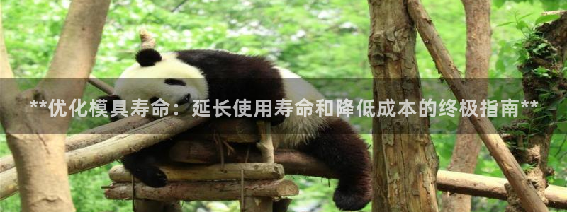 太阳成集团控股官网：**优化模具寿命：延长使用寿命和降低成本的终极指南**