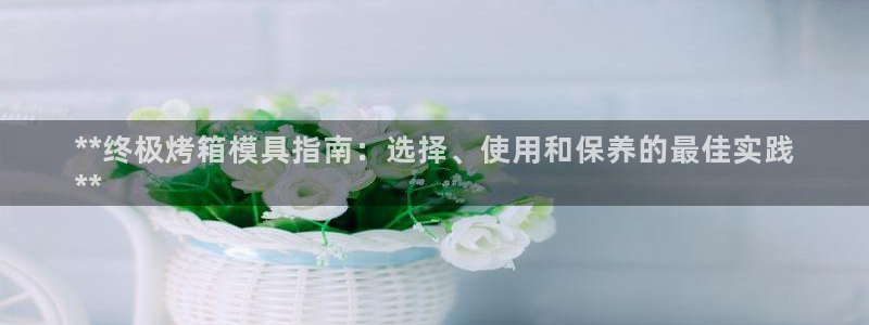 太阳集团唯一值得信赖网：**终极烤箱模具指南：选择、使用和保养的最佳实践
**