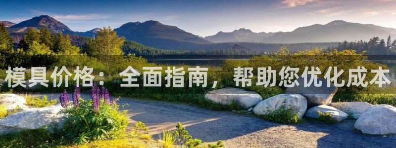 太阳成集团网址 app：模具价格：全面指南，帮助您优化成本