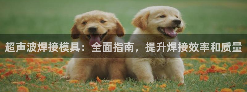 太阳成集团APP