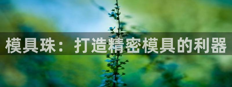 太阳集团网站5017：模具珠：打造精密模具的利器
