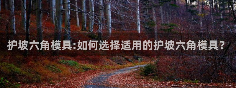 太阳国际娱乐古天乐：护坡六角模具:如何选择适用的护坡六角模具？