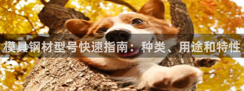 古天乐和太阳集团什么关系知乎：模具钢材型号快速指南：种类、用途和特性