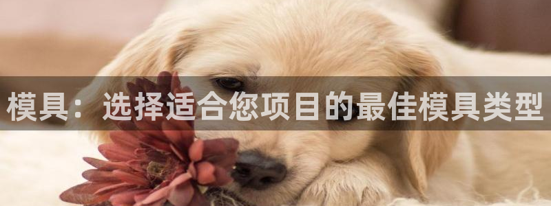 太阳成集团老板照片：模具：选择适合您项目的最佳模具类型