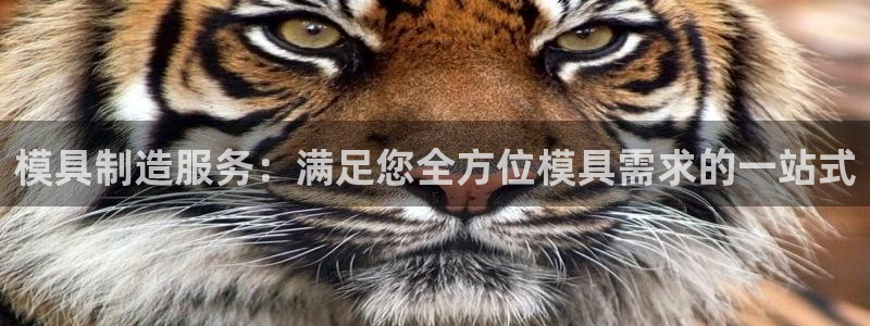 太阳诚集团：模具制造服务：满足您全方位模具需求的一站式