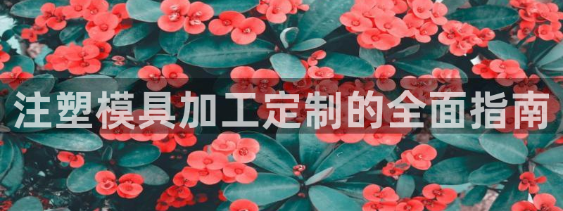 太阳集团是什么：注塑模具加工定制的全面指南
