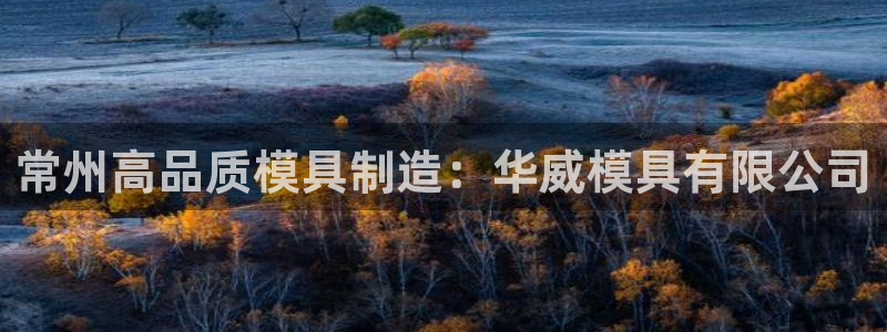 太阳集团城网址：常州高品质模具制造：华威模具有限公司
