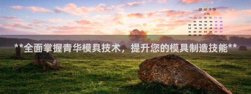 太阳集团城网址娱网首页：**全面掌握青华模具技术，提升您的模具制造技能**