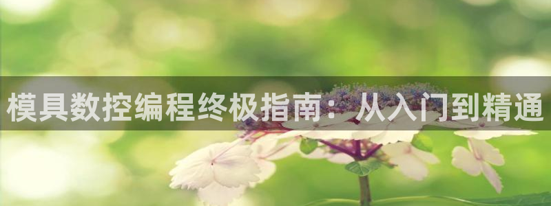 太阳2平台网址