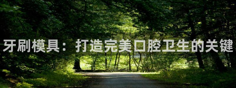 太阳sun网站：牙刷模具：打造完美口腔卫生的关键
