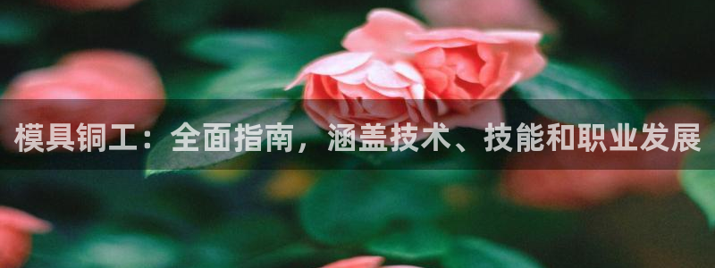 太阳集团城注册就送38welcome：模具铜工：全面指南，涵盖技术、技能和职业发展