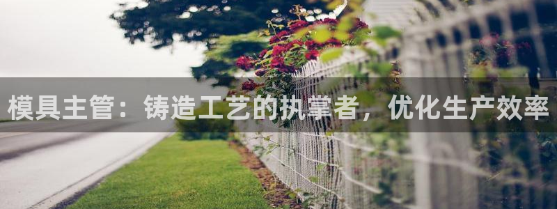 太阳集团游戏城旧版2.1.9：模具主管：铸造工艺的执掌者，优化生产效率