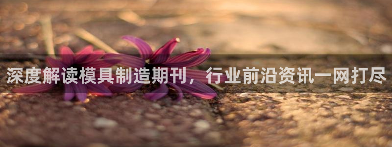 太阳sun网站：深度解读模具制造期刊，行业前沿资讯一网打尽