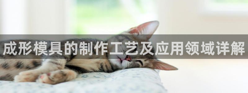 太阳集团app十佳平台：成形模具的制作工艺及应用领域详解