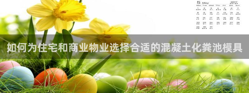 太阳集团城安卓版游戏