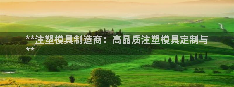 澳门太阳集团洗米华：**注塑模具制造商：高品质注塑模具定制与