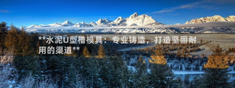 太阳集团城2018网站：**水泥U型槽模具：专业铸造，打造坚固耐
用的渠道**