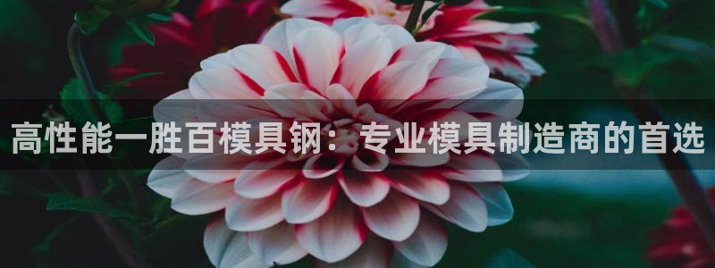 古天乐太阳集团城app：高性能一胜百模具钢：专业模具制造商的首选