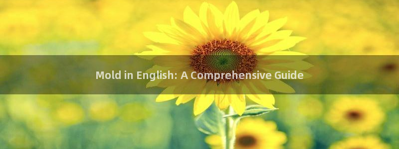 太阳诚集团是什么：Mold in English: A Comprehensive Guide