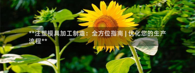 太阳集团董事长是谁照片：**注塑模具加工制造：全方位指南 | 优化您的生产
流程**