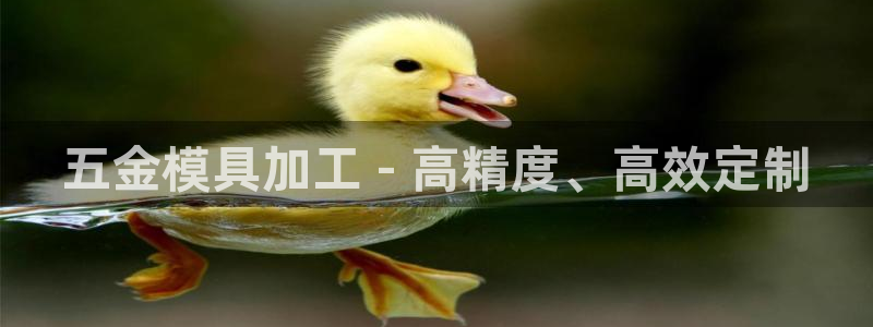 太阳集团网站入口官网下载：五金模具加工 - 高精度、高效定制