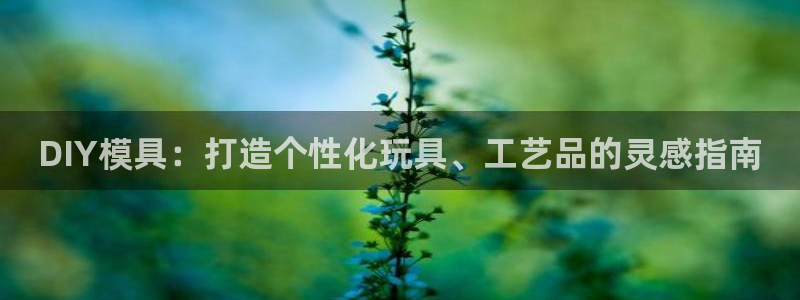 太阳集团官网导航首页：DIY模具：打造个性化玩具、工艺品的灵感指南