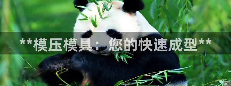 太阳集团控股有限公司